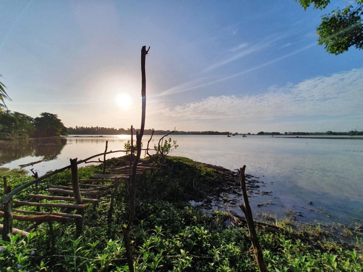 Lakeside Tissamaharama
