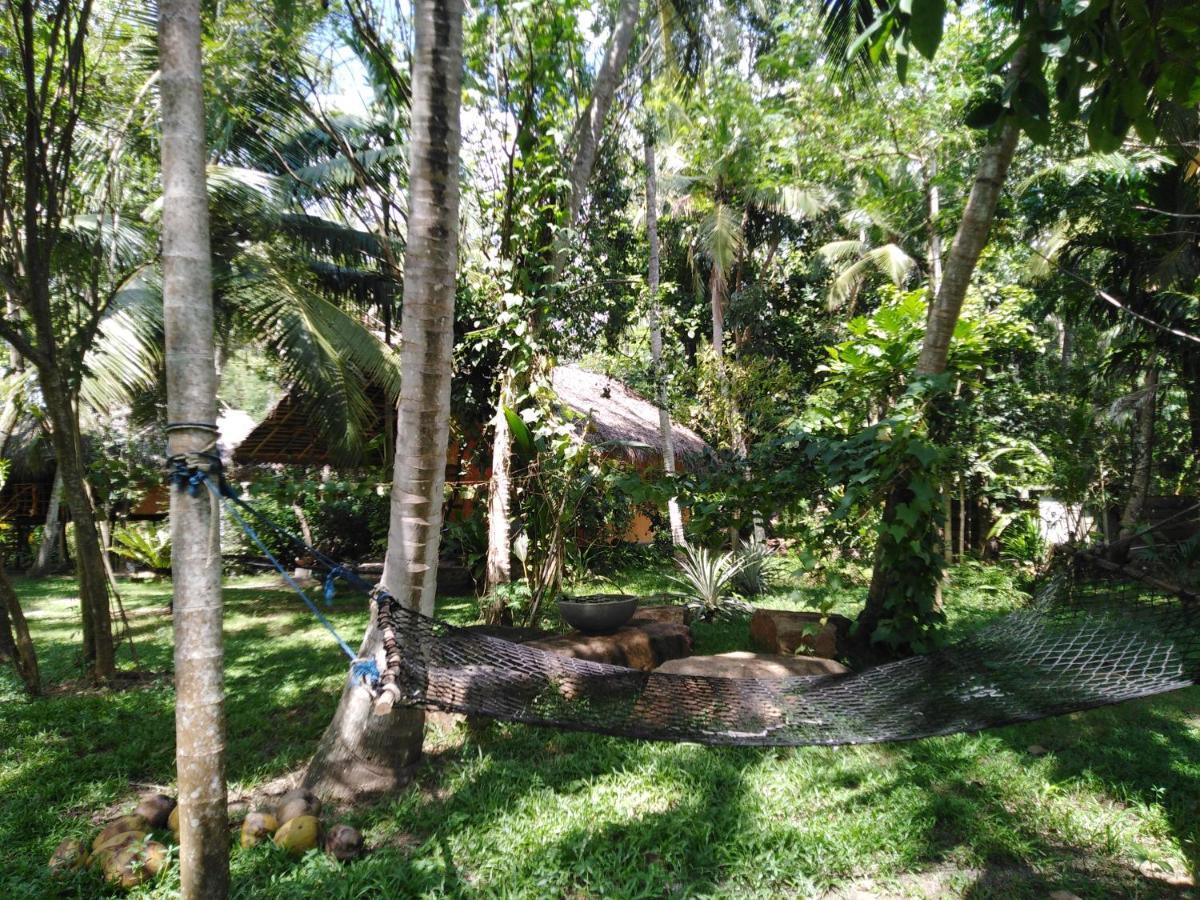 Lakeside Tissamaharama
